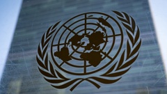 UN delays vote on Gaza aid resolution while the US backs it. Photo / AP