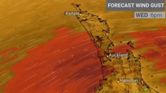 Winds are forecast to gust up to 110km/h in exposed places across the top of the North Island.