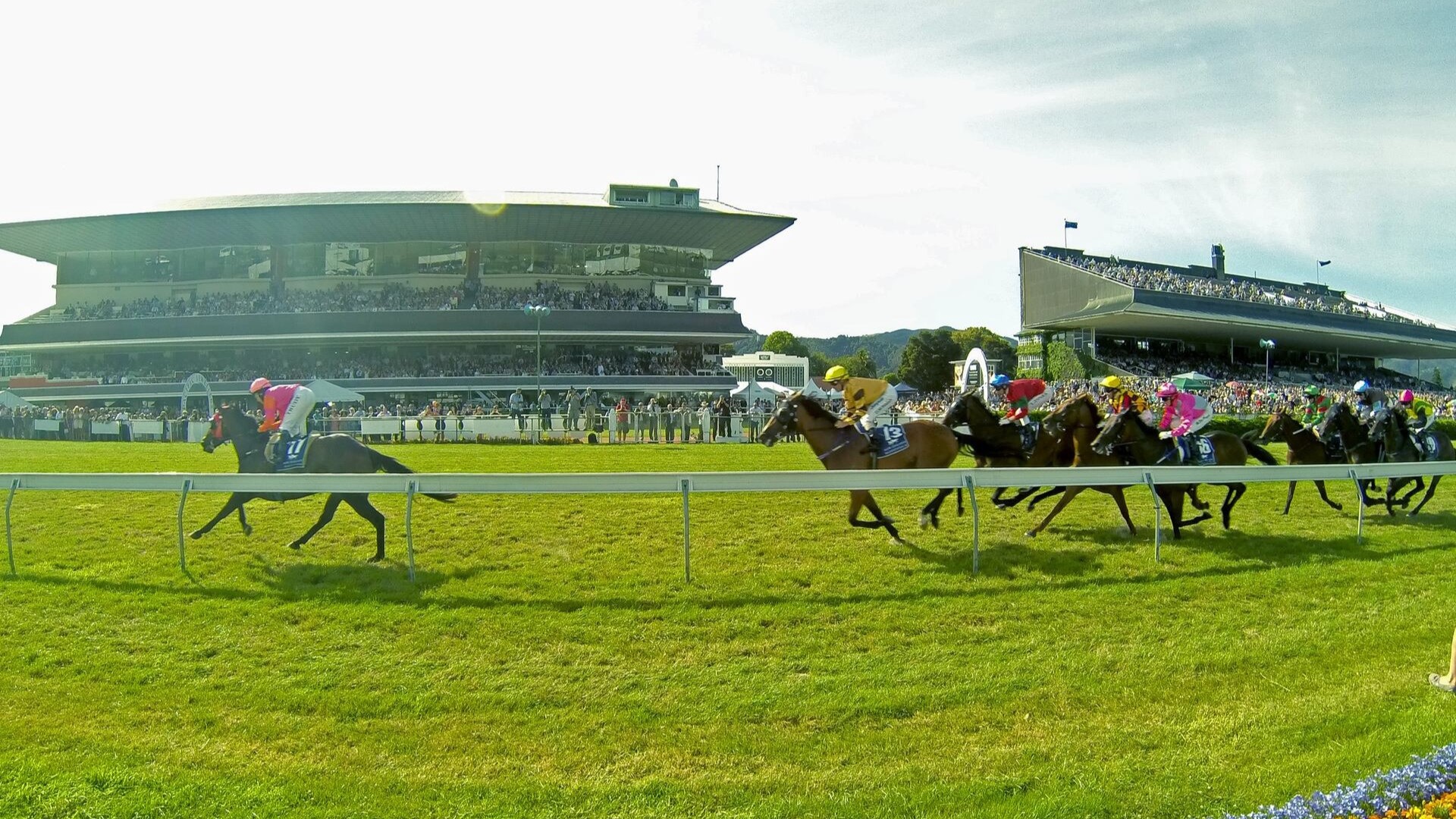 Racing Identity Des Coppins shares tips for 153rd Wellington Cup