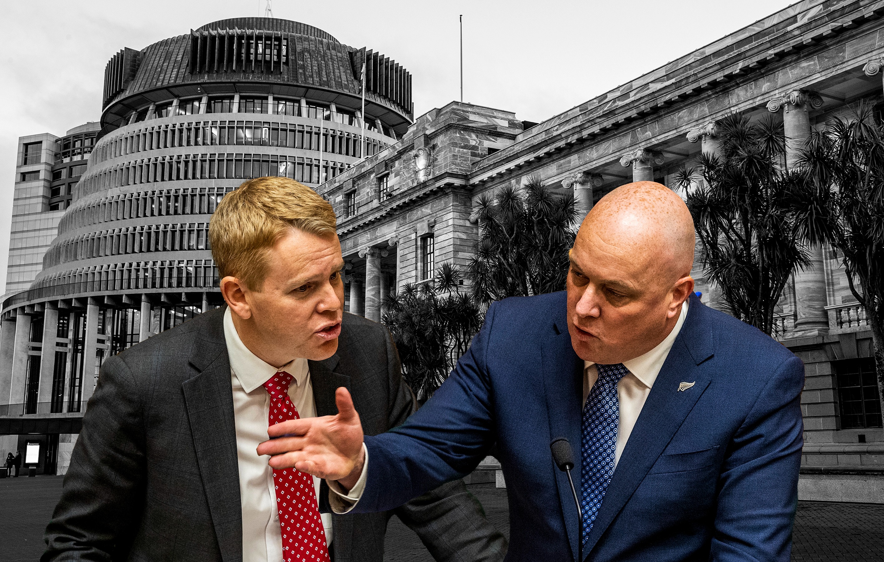 Labour and National's leadership. Photo / Mark Mitchell