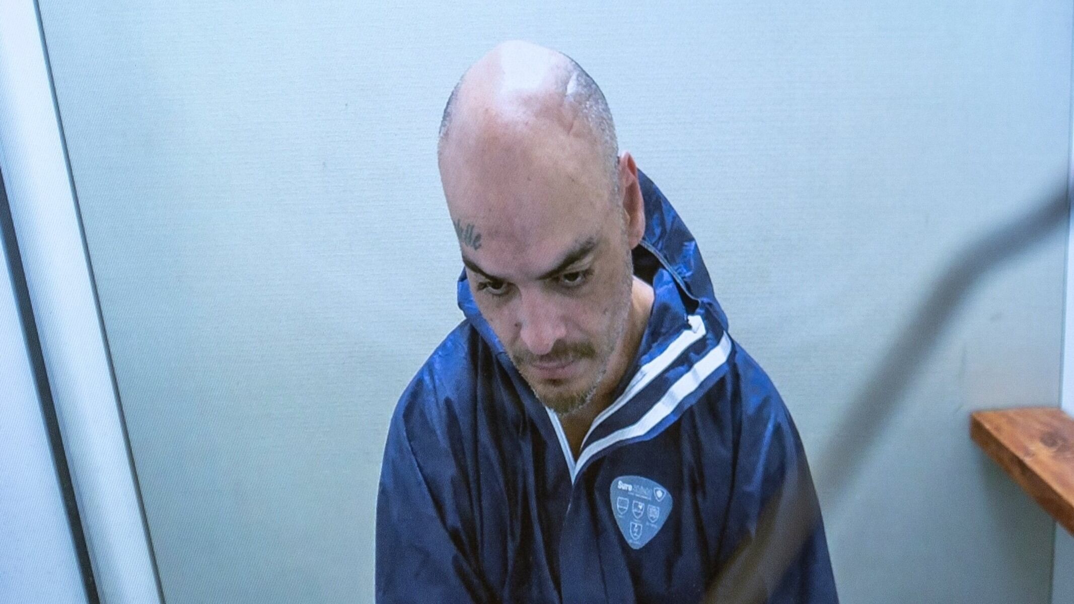 Man admits killing woman on bus by stabbing her 20 times after she ignored him