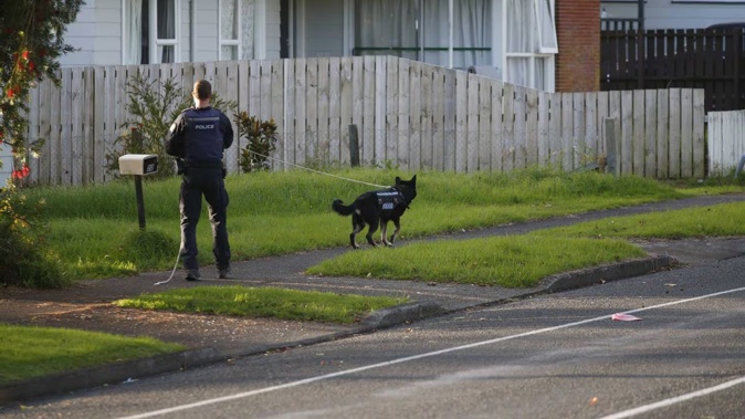 A police dog was used to apprehend a 12-year-old boy during a pursuit. Photo / NZME