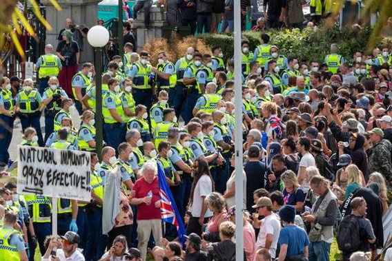 (Photo / NZ Herald)
