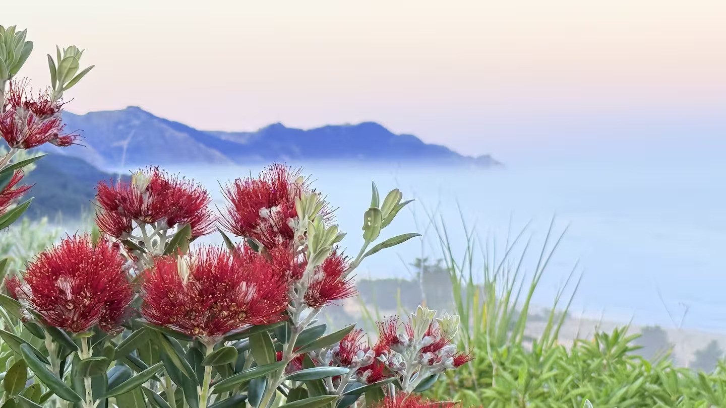 Ho ho hot: 30C possible in Hawke’s Bay on Christmas Day