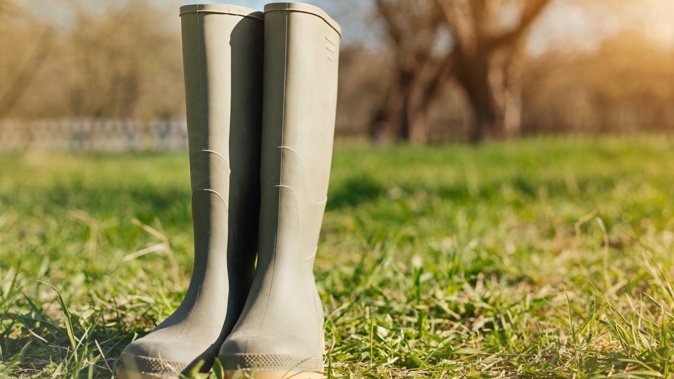 A Coroner has recommended gumboots not be worn on recreational boats after a man drowned 100m from shore at Riverton in September 2018. Photo / 123RF
