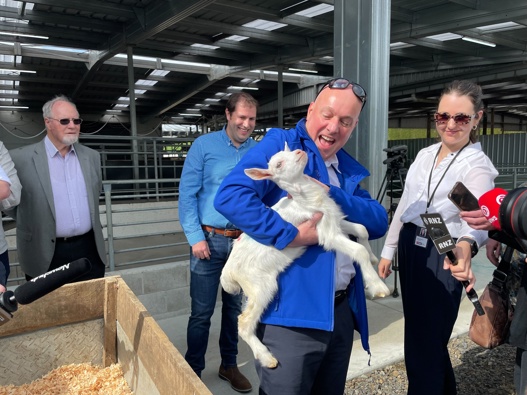 National Party leader Christopher Luxon visiting Oete Goat farm south of Auckland. Photo / Michael Neilson