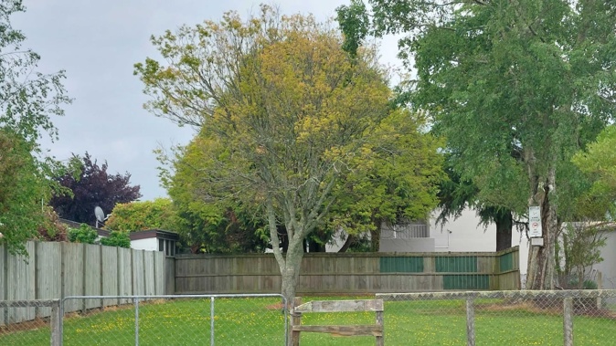 Rotorua Lakes Council says Pūruru South Reserve at 35 Tarewa Rd in Rotorua is no longer being used for the purpose that it was gifted. Photo / Ben Fraser