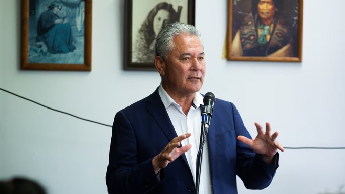 Te Pāti Māori president John Tamihere commented while appearing on The Bradbury Group's politics podcast. Photo / Brett Phibbs