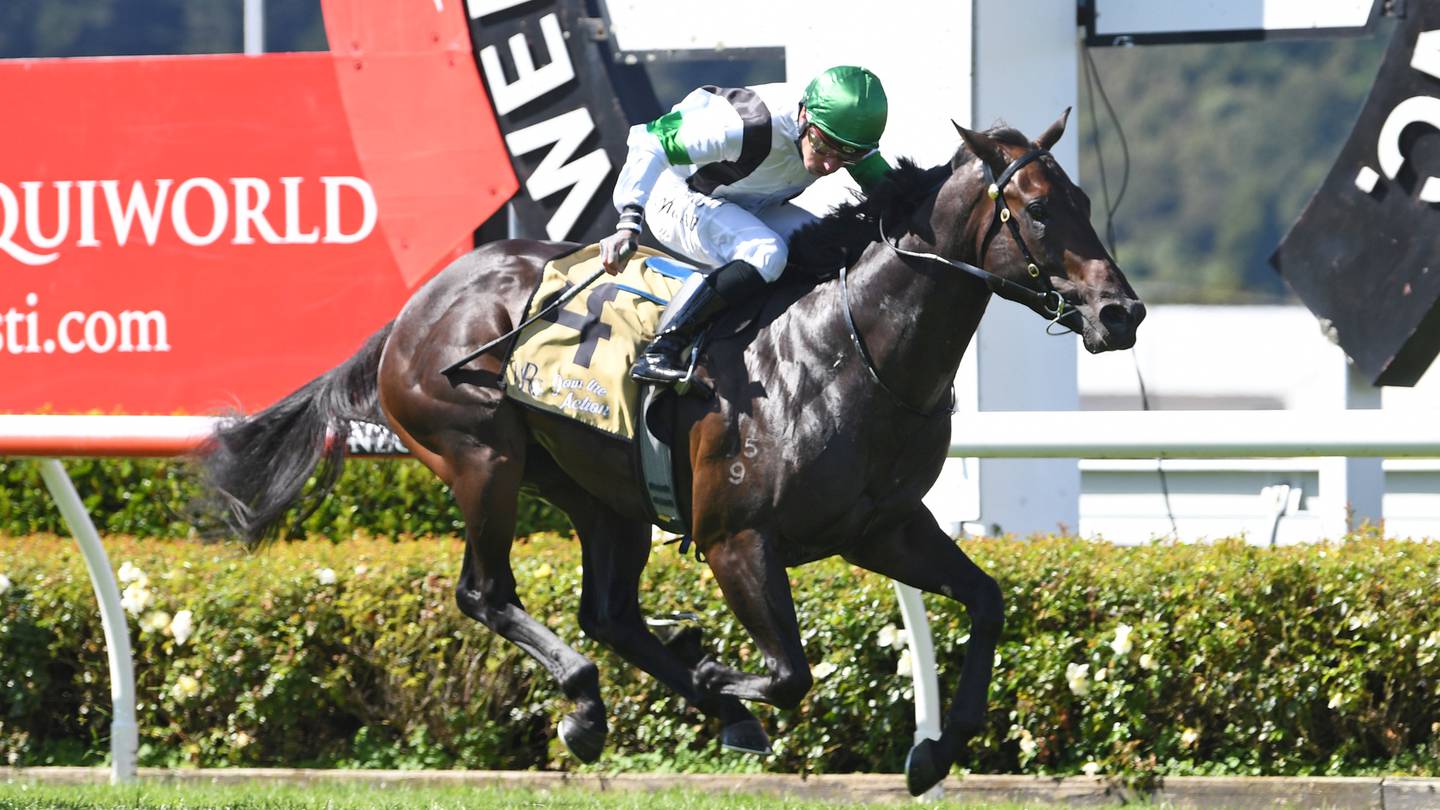 Canterbury Jockey Club has appealed to attendees to consider not claiming their share to support the club while it endures a “challenging financial situation”. Photo / Race Images