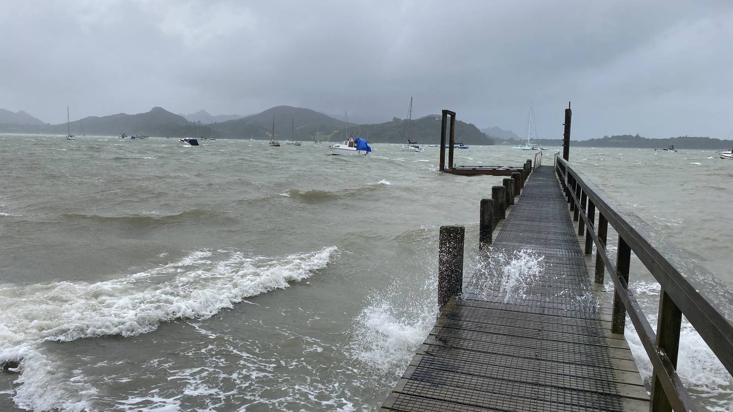  Photo / Karina Cooper