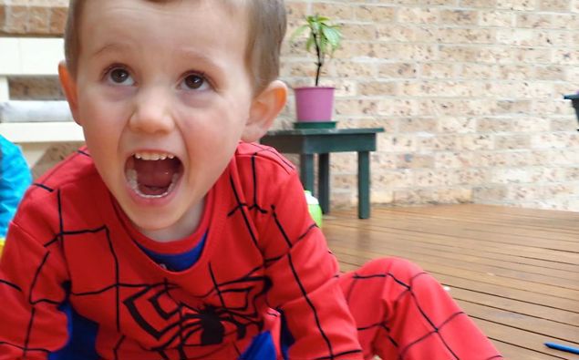 William Tyrrell was wearing a Spider-Man costume when he vanished in 2014. (Photo / Supplied)