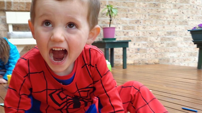 William Tyrrell was wearing a Spider-Man costume when he vanished in 2014. (Photo / Supplied)