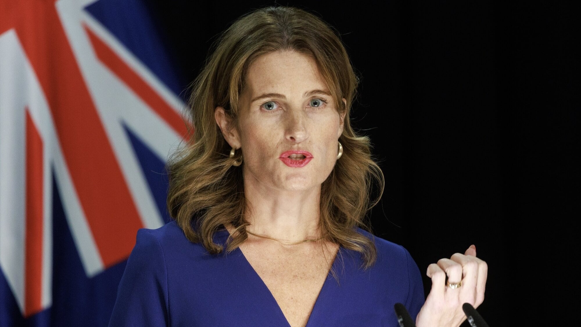 Finance Minister Nicola Willis says it is up to businesses whether their workers will have to work from home more, among rising fuel costs. Photo / Mark Mitchell