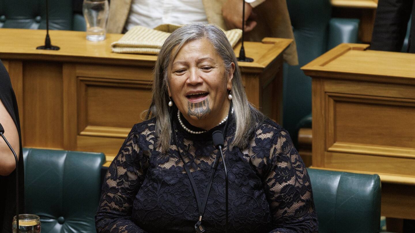 Te Pāti Māori MP Mariameno Kapa-Kingi has addressed the allegations prompted by her own party's release of several documents last week. Photo / Mark Mitchell