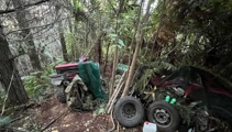 Perspective with Heather du Plessis-Allan: There's no way Phillips' accomplices didn't know