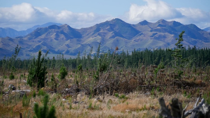 Hurunui high country, of which Island Hills is a part, is close to the Hanmer tourist route of State Highway 7. Photo / Thomas Bywater