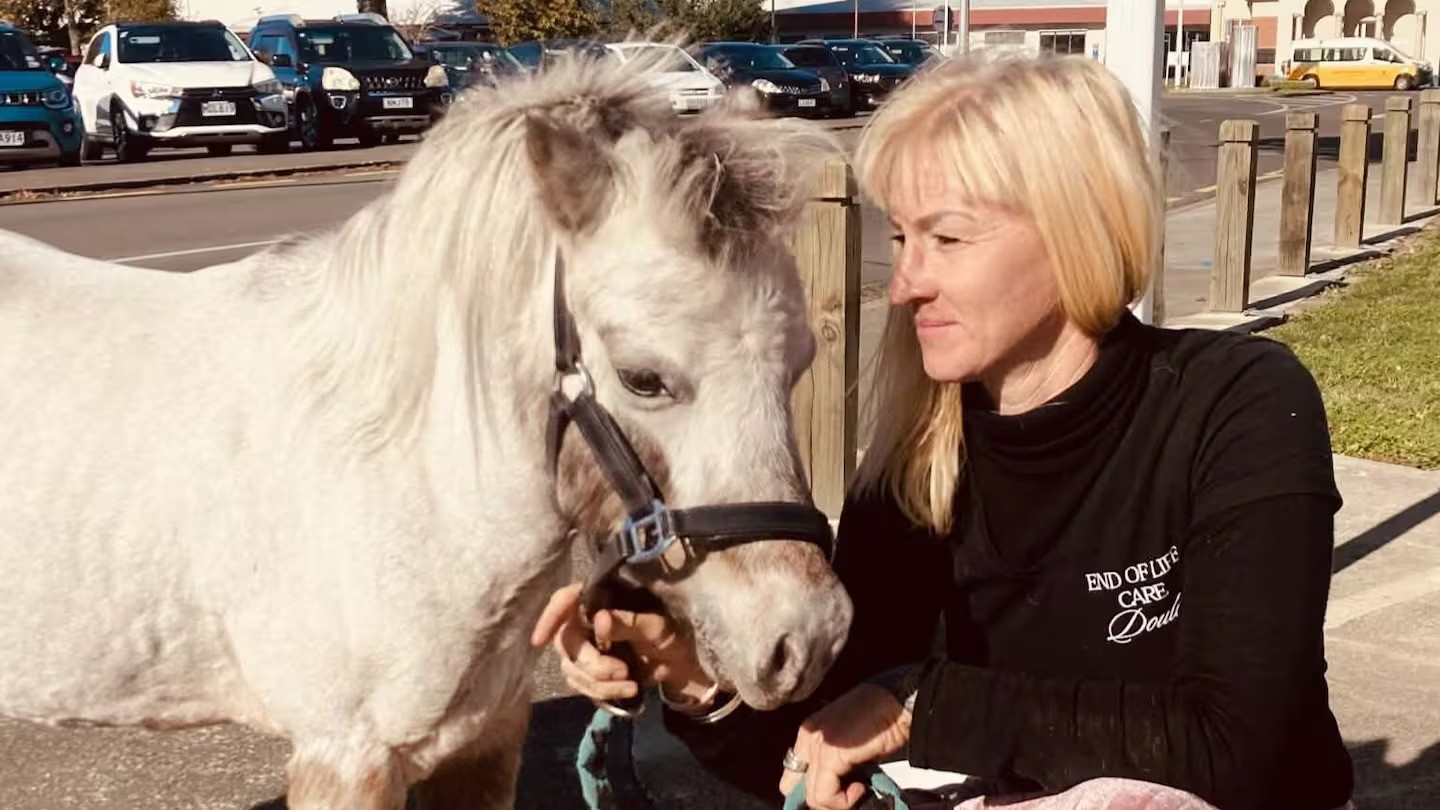 ‘His heart is so big’: Miniature pony brings hope to hospital ward