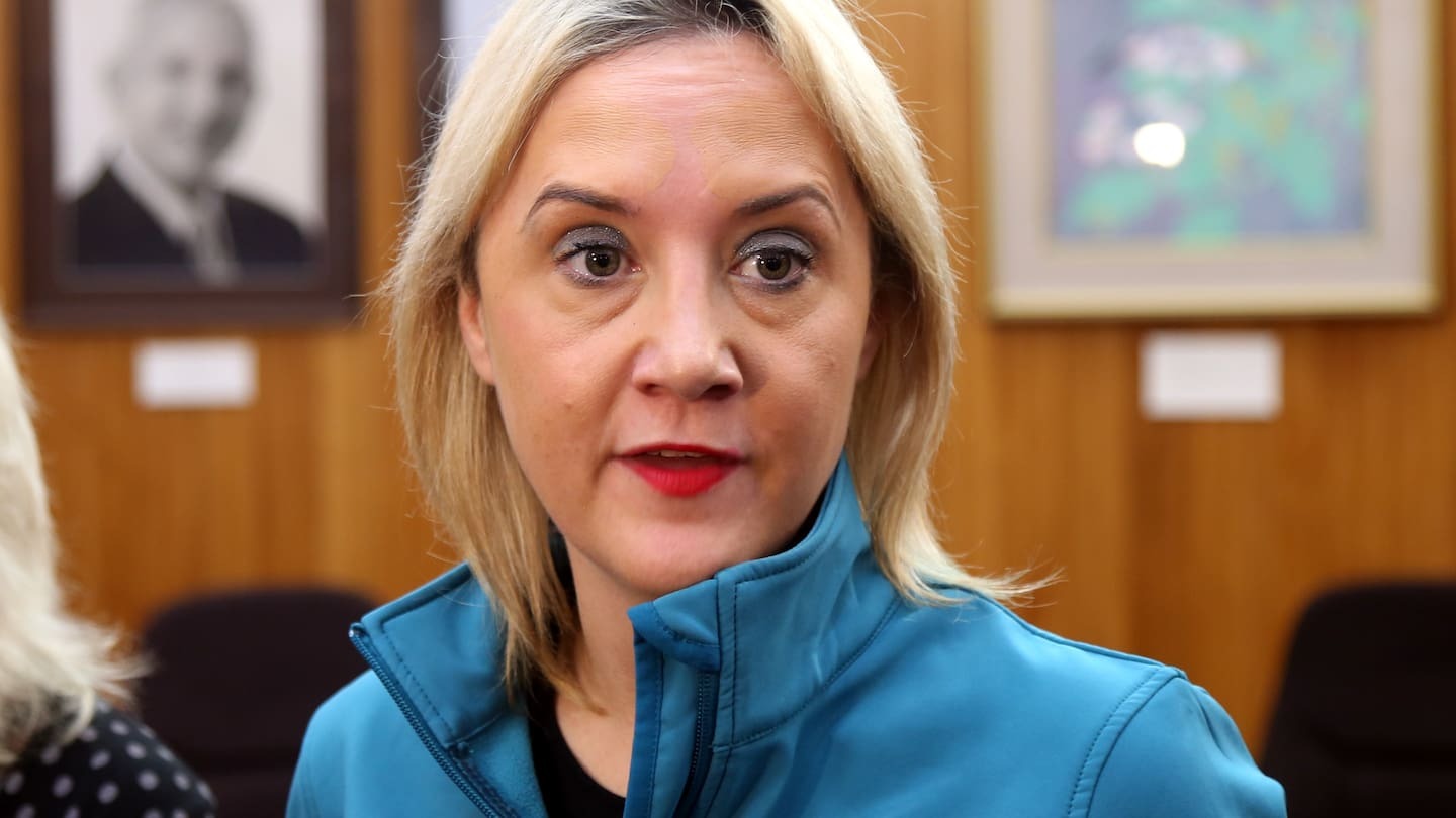 Nikki Kaye, former National Party MP for Auckland Central, has died.