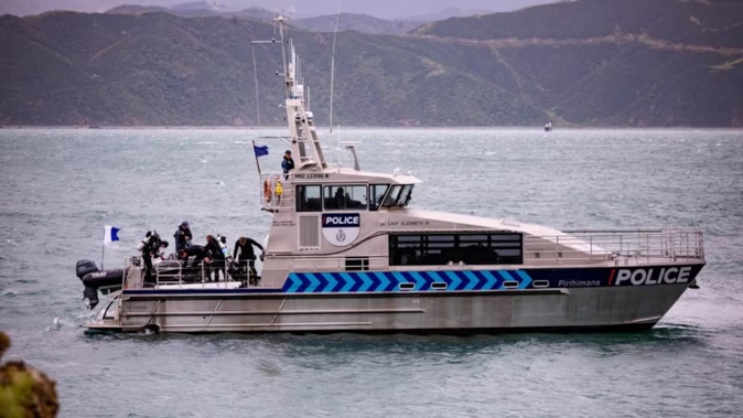 Police have found the body of a diver who was reported missing in Lowry Bay today. Photo / RNZ