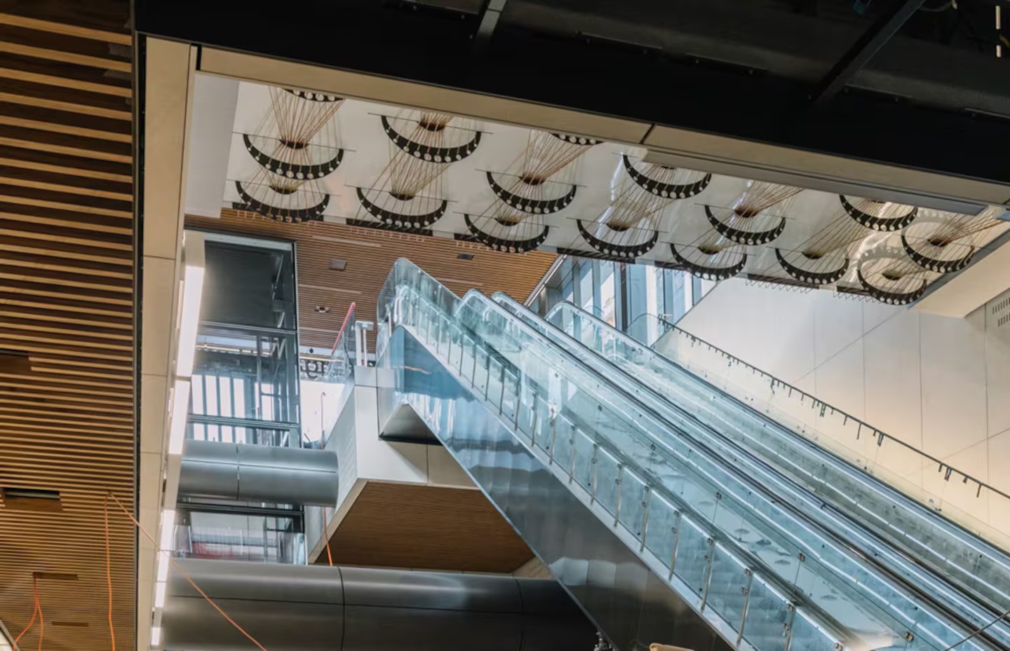 Snail symbols on the ceiling inside the new Karanga-a-Hape Station for the City Rail Link. Photo / Auckland Council