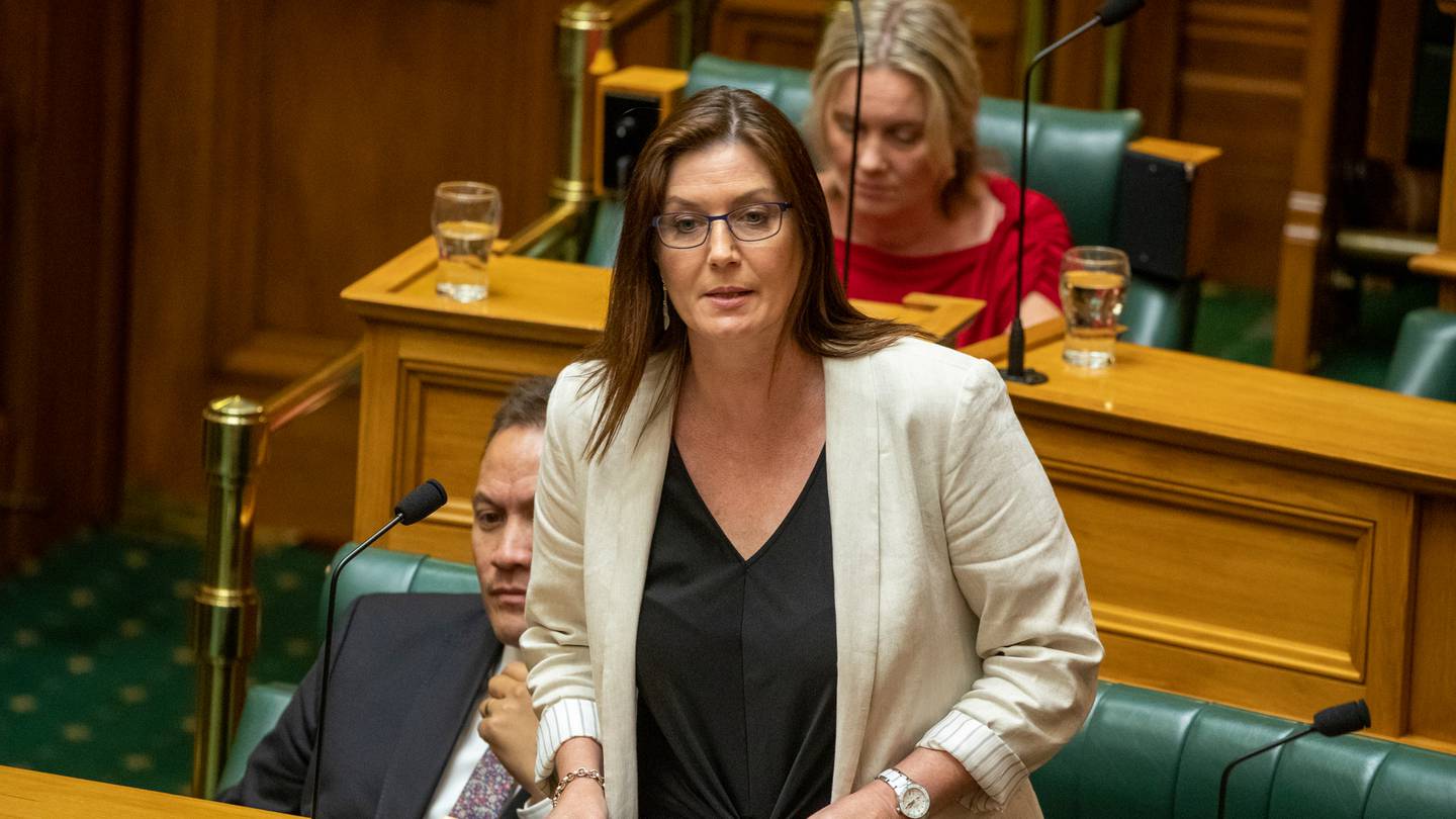 Labour MP for Rangitata Jo Luxton. Photo / Mark Mitchell