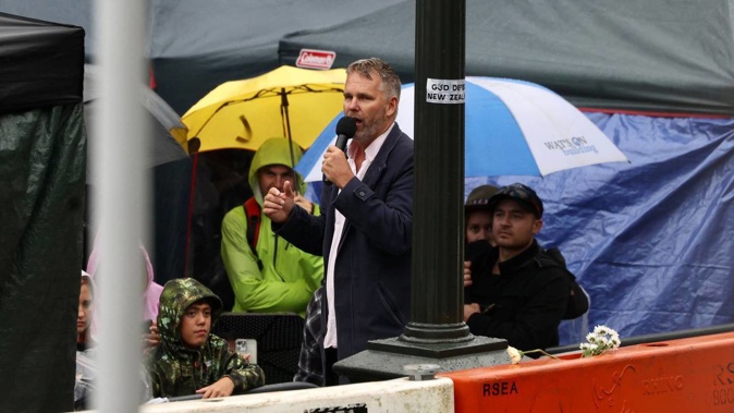 Former National MP Matt King joined the protest at Parliament. Photo / George Heard