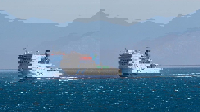 Photo / Mark Mitchell