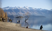 Photos / NZME