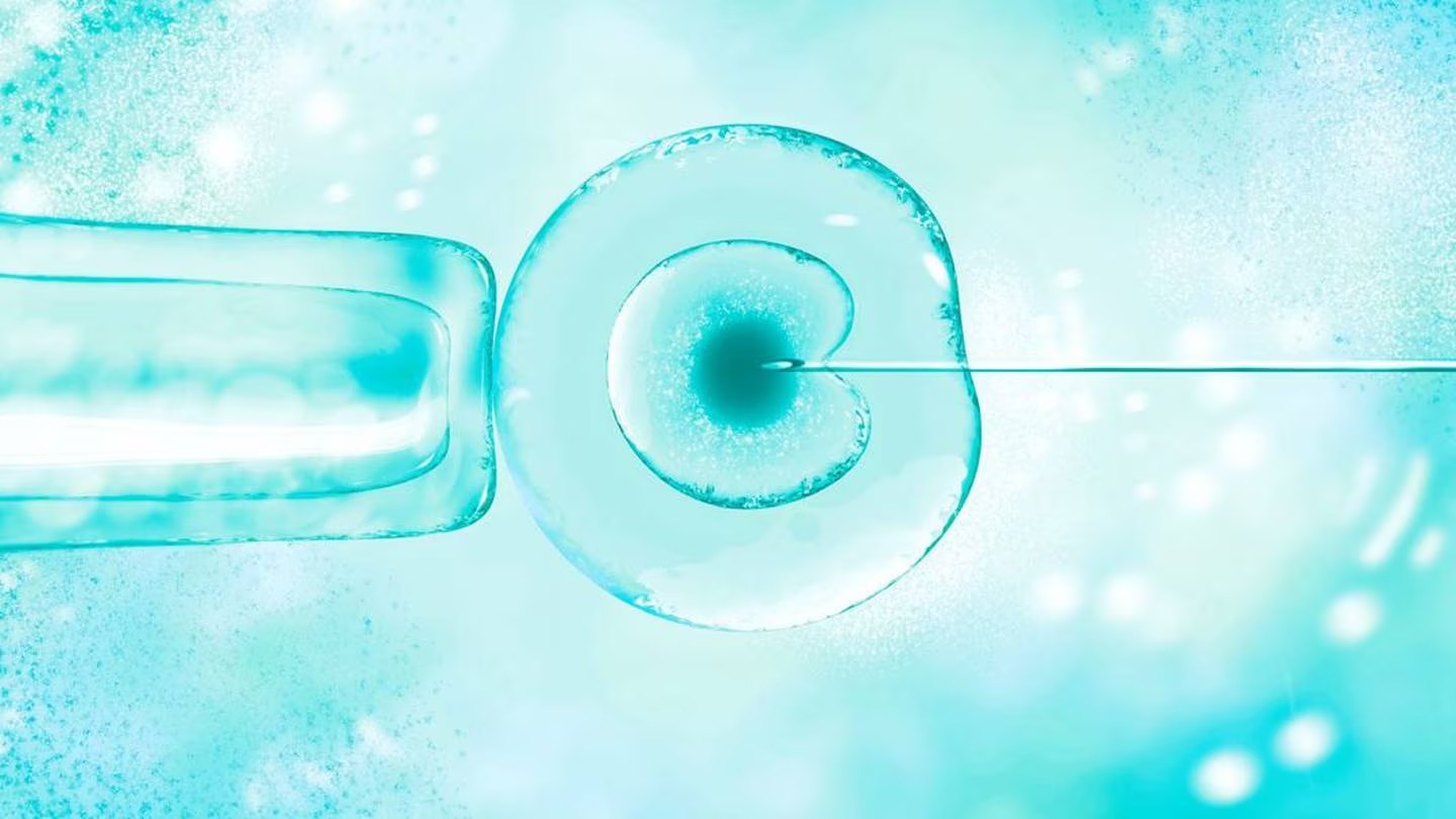 The court ordered him immediately to halt all donations and said he must pay 100,000 euros ($177,000) per case if he breaches the ban. Photo / 123rf