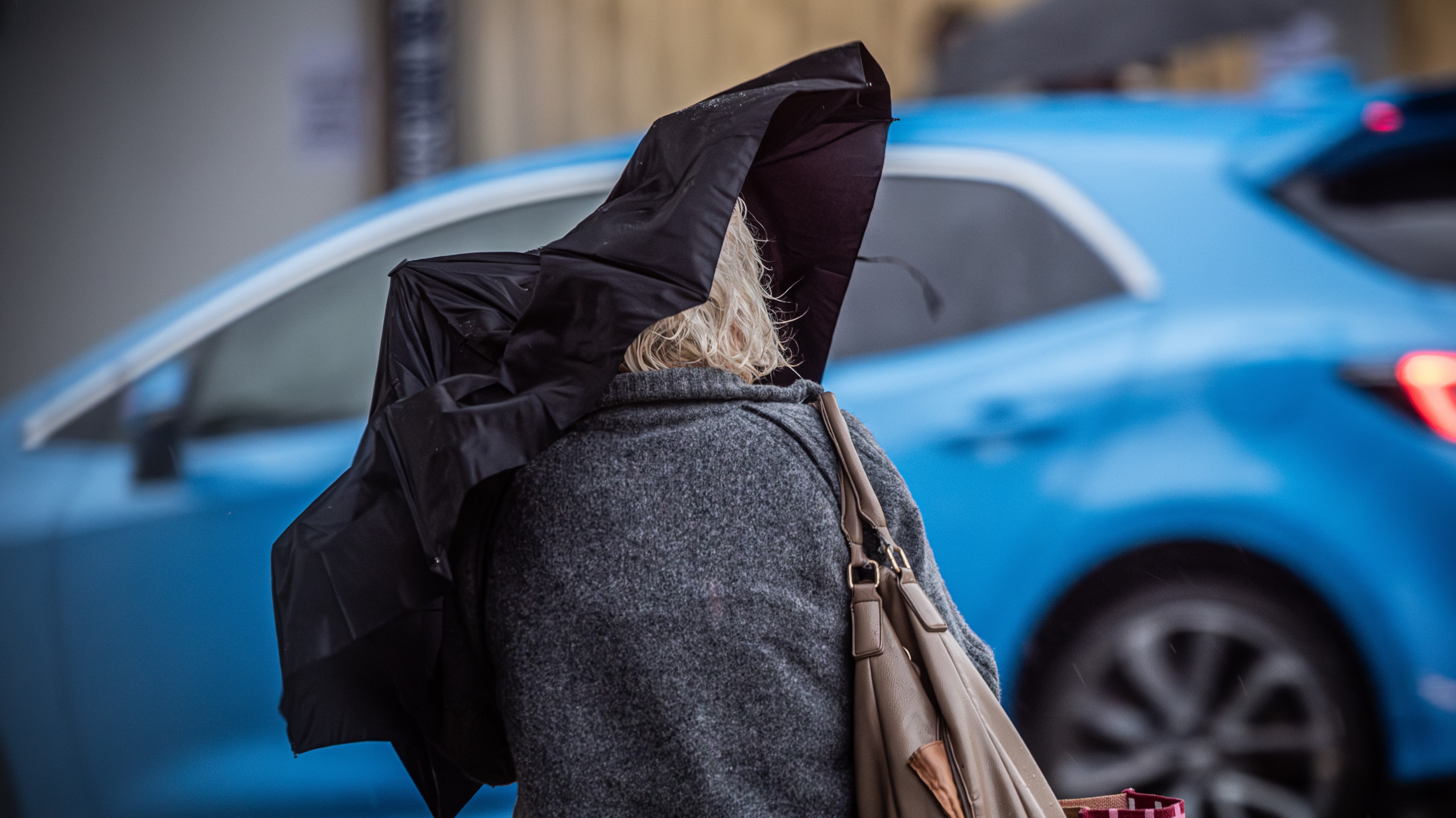 Wild weather hits Auckland this morning. Photo / Jason Dorday