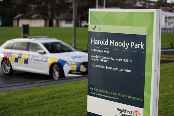 This morning's incident was at Harold Moody Park. Photo / Hayden Woodward