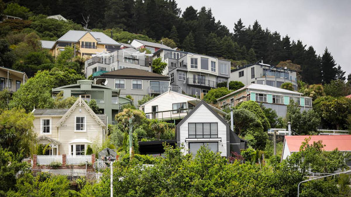 Photo / Mark Mitchell