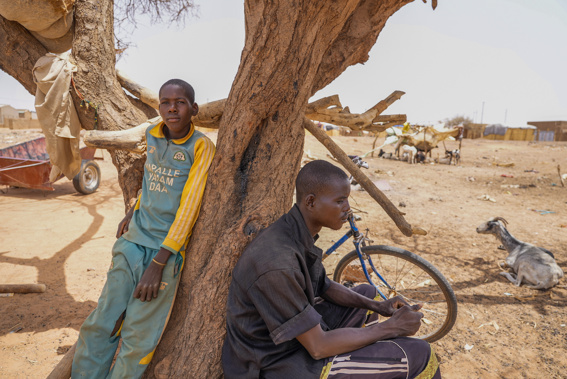 People lean on a tree in Djibo, Burkina Faso, Thursday May 26, 2022. Photo / AP