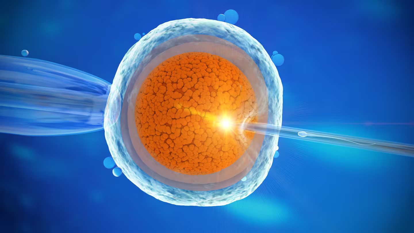 Missing embryos at Auckland IVF clinic spark apology and investigation