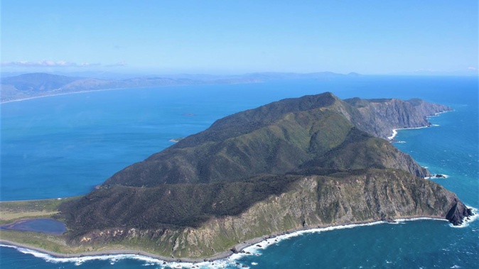 A rahui was put in place on Kapiti Island following the discovery of the body. Photo / David Haxton