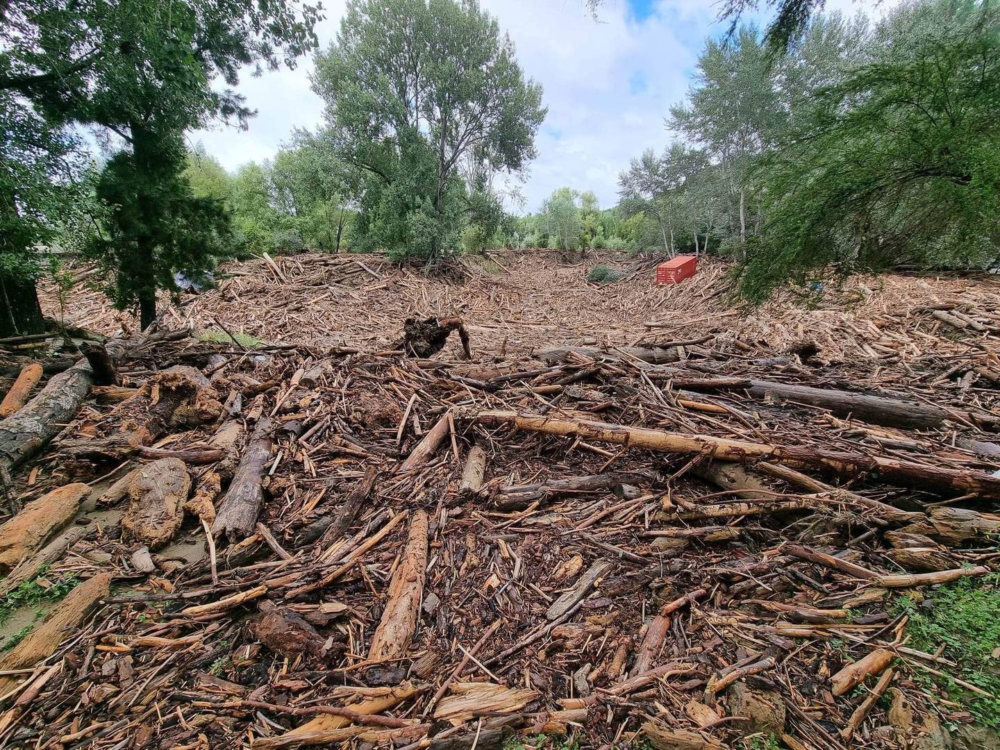 The area surrounding the Mangatokerau Bridge in Tolaga Bay is buried by forest debris. Photo / Miss-Kate Rochelle