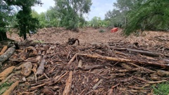 The area surrounding the Mangatokerau Bridge in Tolaga Bay is buried by forest debris. Photo / Miss-Kate Rochelle