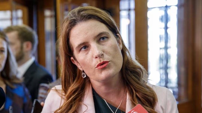 Finance Minister Nicola Willis honours National's pre-election promise to reduce the bright-line test to two years from July. Photo / Mark Mitchell