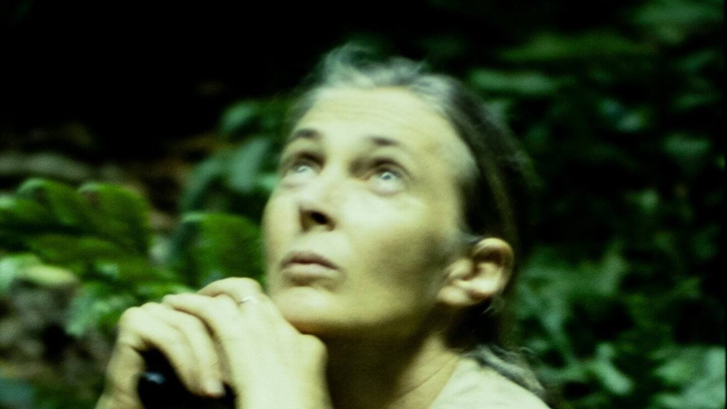 Dr Jane Goodall died in California on October 1. Photo / Phil Smith