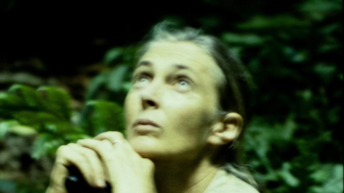 Dr Jane Goodall died in California on October 1. Photo / Phil Smith