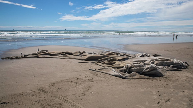 A large amount of artificial reef has washed up on Mount Maunganui Beach. Photo / Mead Norton