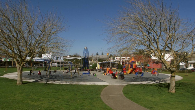 Rocket Park is a popular playground and park in the central Auckland suburb of Mt Albert. File photo / Nicola Topping