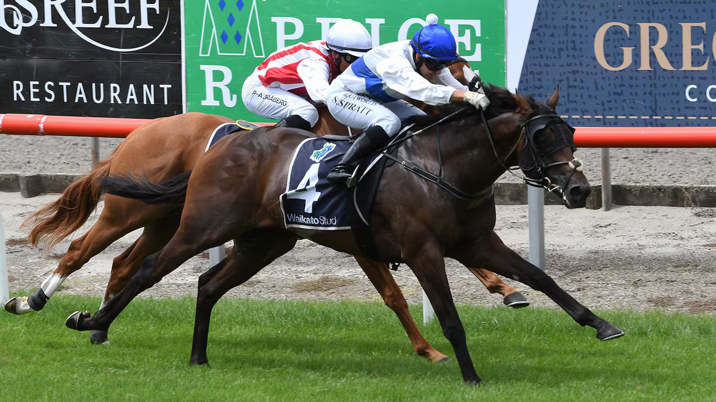 Savaglee’s return delayed as Te Rapa favoured over Ellerslie super sprint