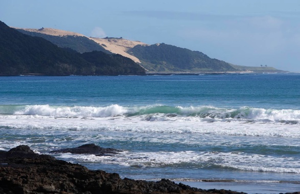 Emergency services rushed to Te Kohanga/Shipwreck Bay after an Apple iPhone automatically called 111 to report a crash. Photo / Michael Cunningham