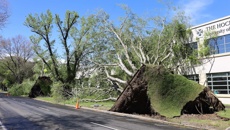 Jamie Mackay: The Country host on the weather impacting the South Island