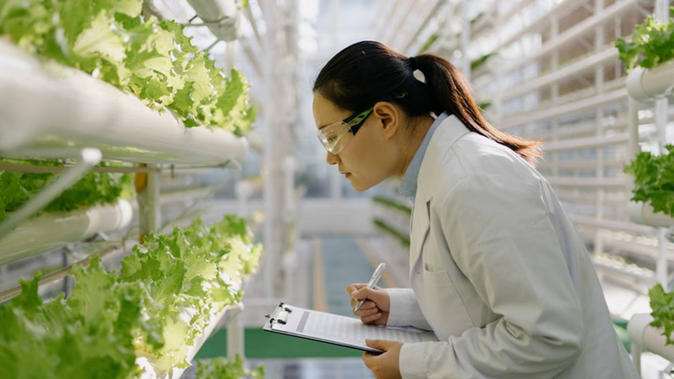 Gene modification tech has been a controversial topic, with New Zealand fighting to stay a top producer of natural food and beverage. Photo / Getty images