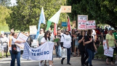 Striking teachers picketing in Tauranga in 2023. Photo / Andrew Warner