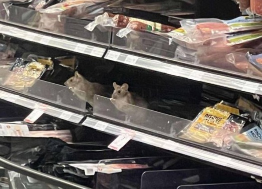Woolworths NZ confirmed this photo of a rat, reflected in a mirror in the deli section, was taken at its Dunedin South Countdown supermarket in November.