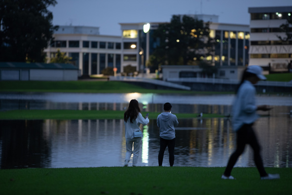 Photo / Hayden Woodward