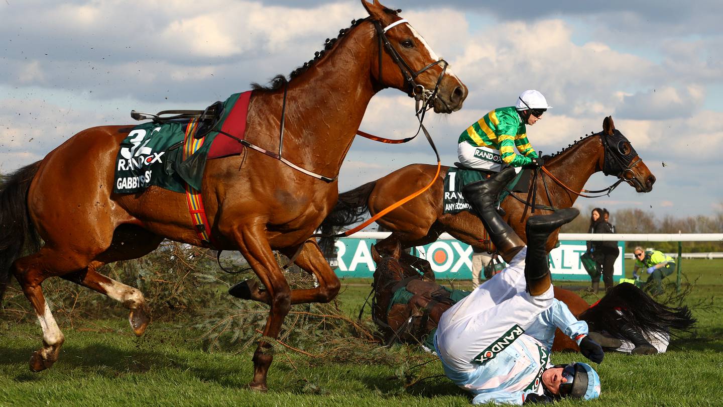 Three racehorses have died during this year's Grand National. In the picture above Peter Carberry riding Gabbys Cross falls off during a race on day three at Aintree Racecourse. Photo / Getty Images
